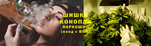 spice Волоколамск