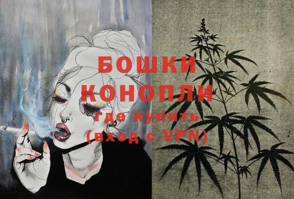 тгк Вяземский