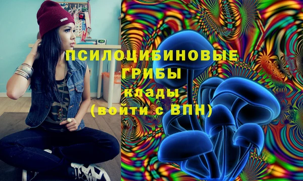 дмт Вязники