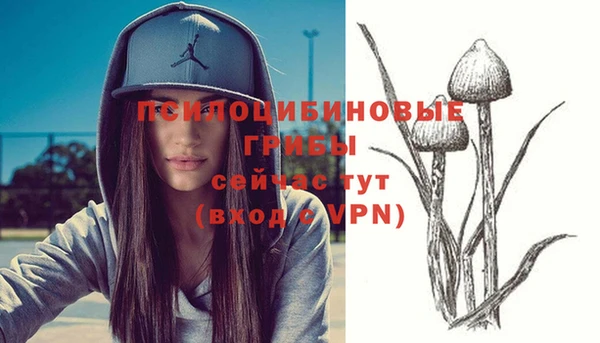 тгк Вяземский