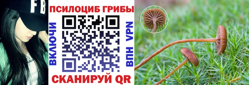 Псилоцибиновые грибы мухоморы  Новокузнецк 